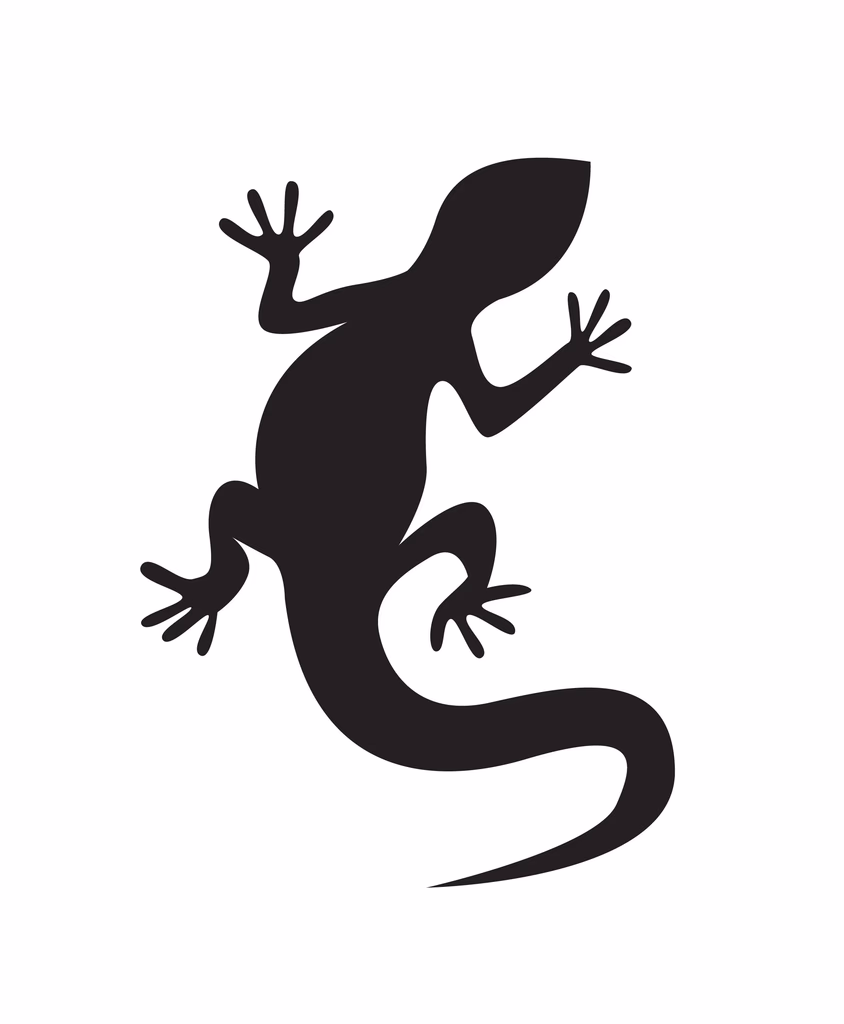 Lizard Control